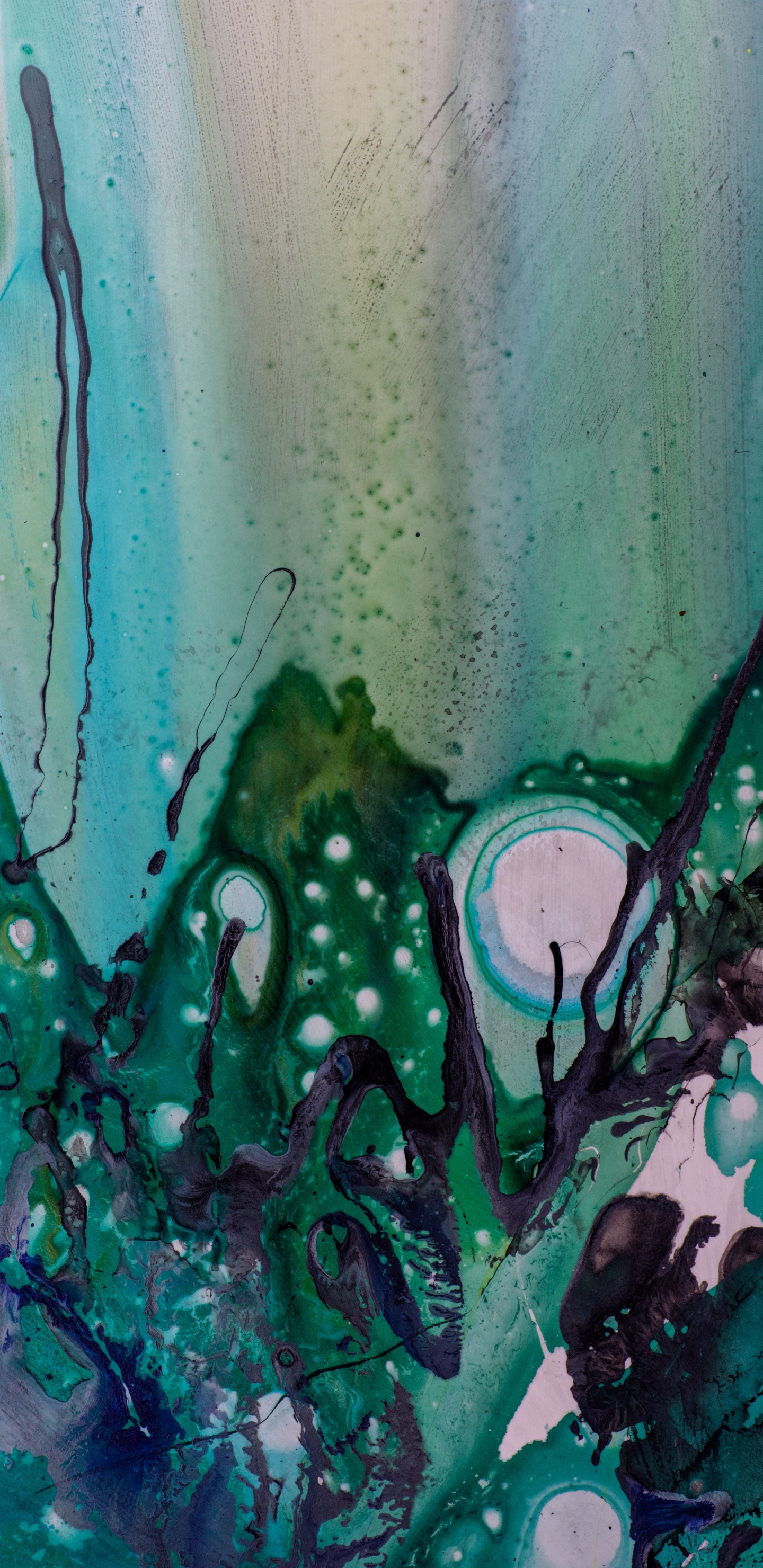 Обои арт, зеленый, вода, красочность, искусство в разрешении 1440x2960