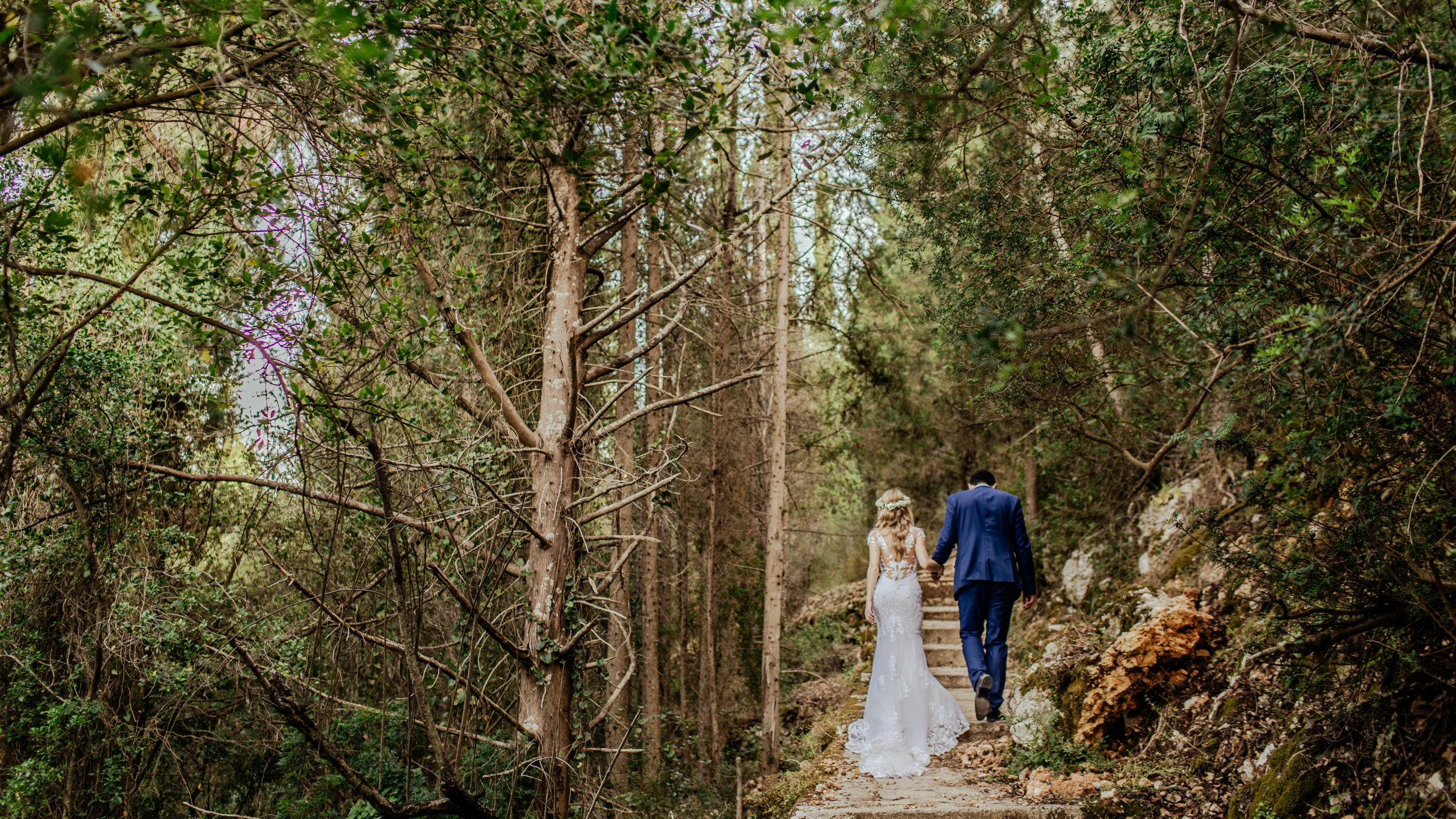 Обои свадьба, природа, дерево, природный ландшафт, окружающая среда в разрешении 2560x1440