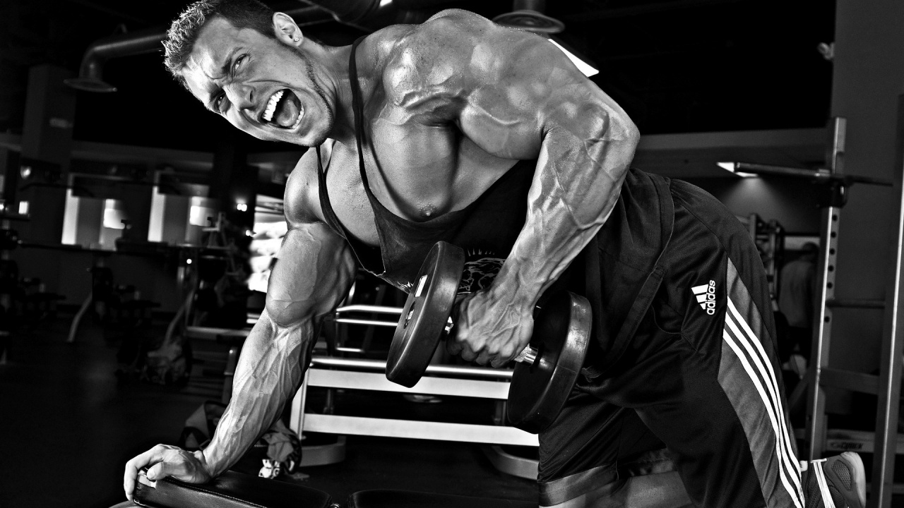 Обои Бодибилдинг, фитнесс центр, мышца, физическая подготовка, силовые тренировки в разрешении 1280x720