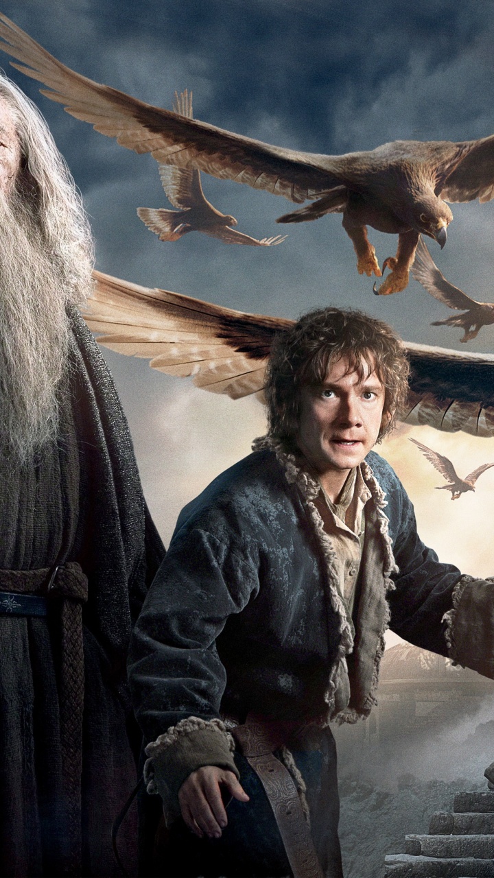 Обои Гэндальф Хоббит, Иэн Маккеллен, Хоббит Пустошь Смауга, гендальф, Бильбо Бэггинс в разрешении 720x1280