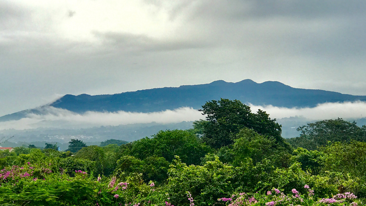 Обои растительность, нагорье, пейзажи гор, горная станция, природа в разрешении 1280x720