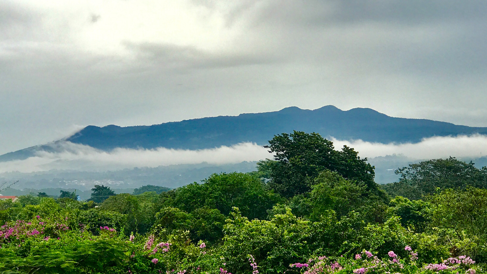 Обои растительность, нагорье, пейзажи гор, горная станция, природа в разрешении 1920x1080