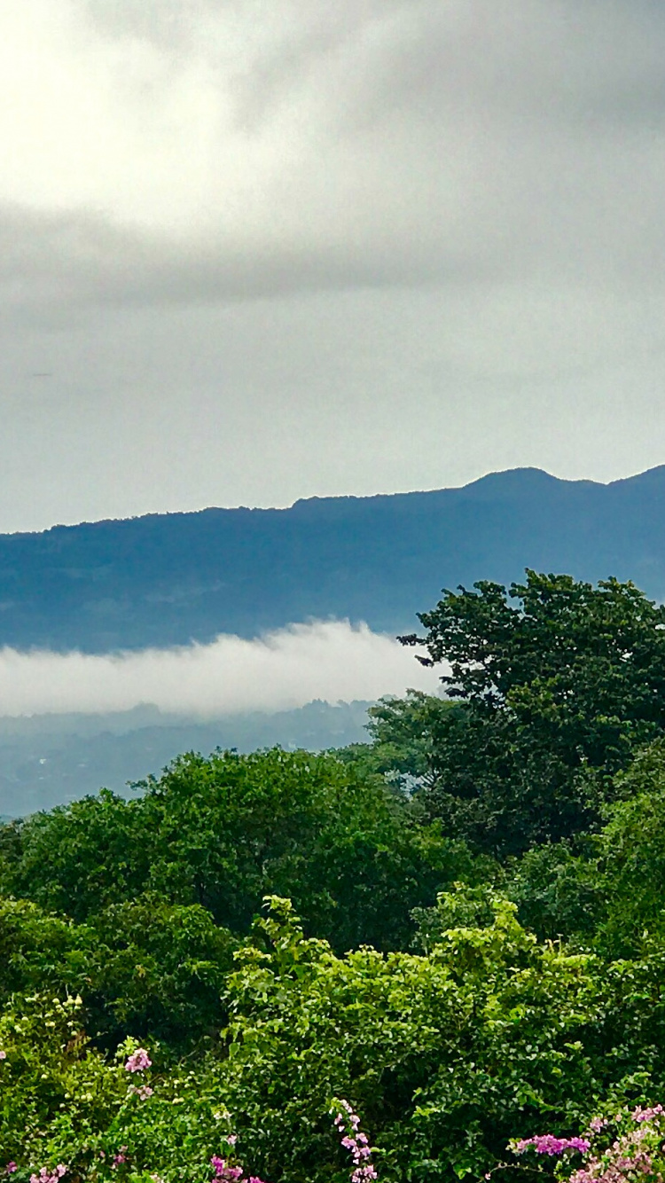 Обои растительность, нагорье, пейзажи гор, горная станция, природа в разрешении 750x1334