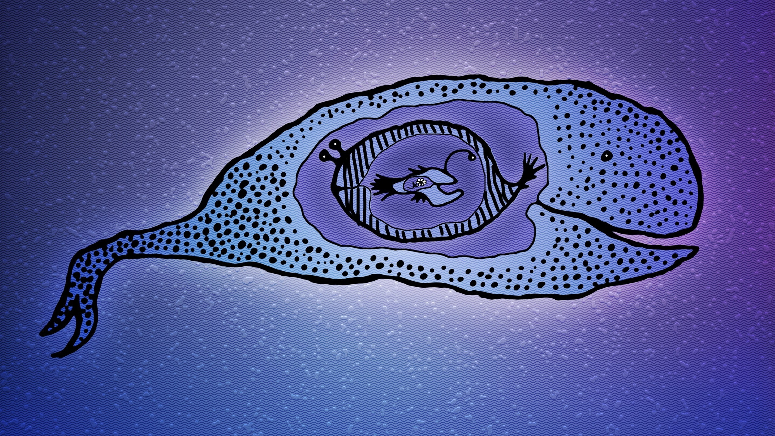 Обои синий цвет, морская биология, синий, море, Кит в разрешении 2560x1440