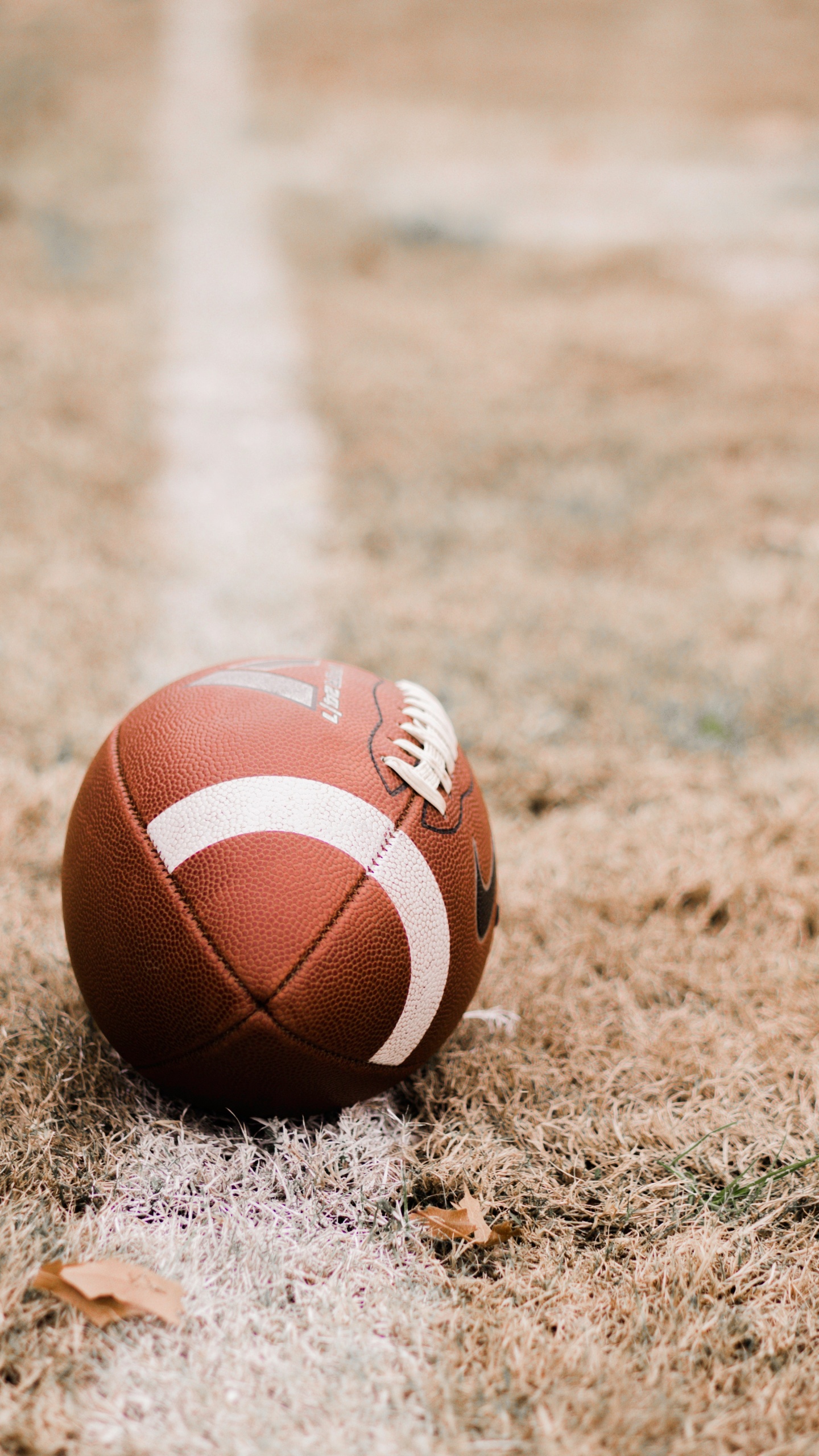 Обои американский футбол, мяч, футбол, командный вид спорта, футбольный мяч в разрешении 1440x2560