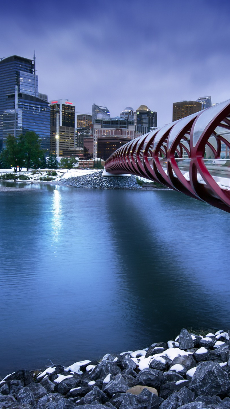 Обои мост, отражение, вода, город, реки в разрешении 750x1334