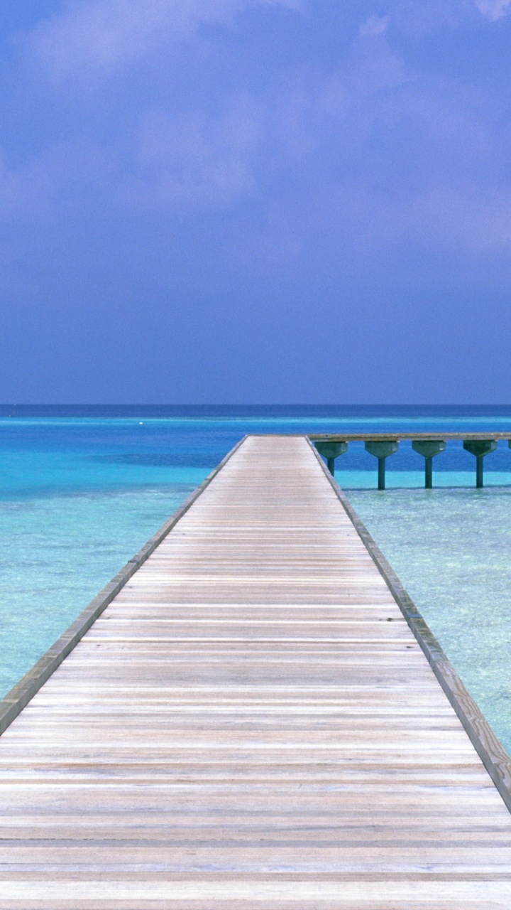 Обои пляж, море, океан, тропическая зона, лазурный в разрешении 720x1280