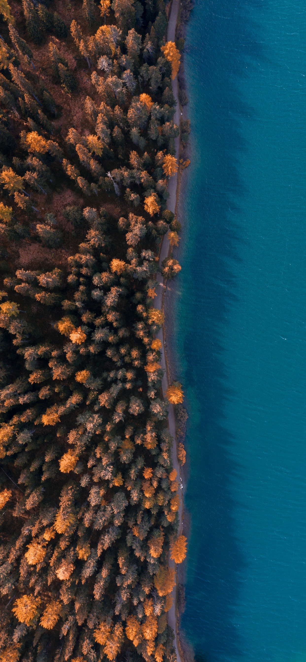 Обои вода, коралловый риф, небо, коралл, microsoft azure в разрешении 1242x2688