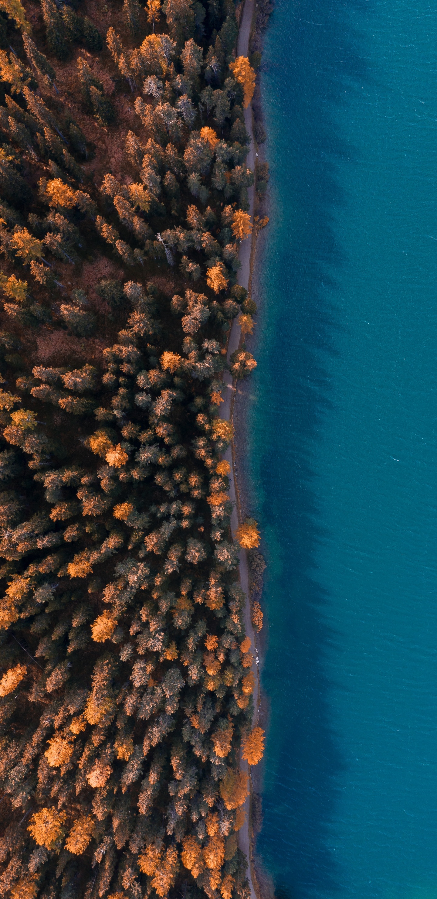 Обои вода, коралловый риф, небо, коралл, microsoft azure в разрешении 1440x2960