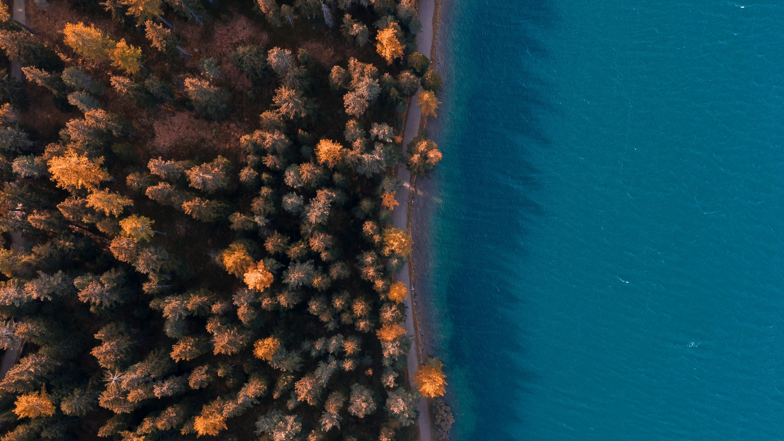 Обои вода, коралловый риф, небо, коралл, microsoft azure в разрешении 2560x1440