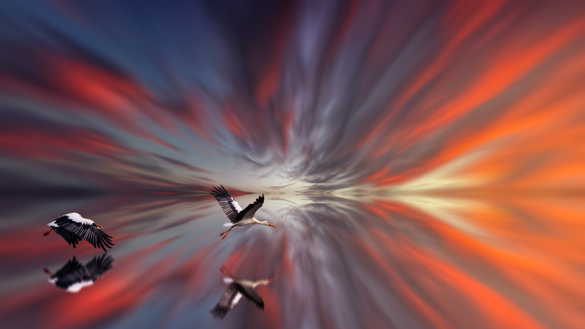 Обои красный цвет, свет, Апельсин, растение, космос в разрешении 1920x1080