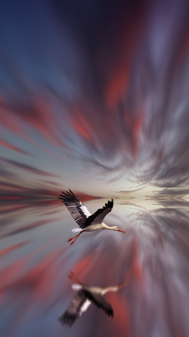 Обои красный цвет, свет, Апельсин, растение, космос в разрешении 750x1334