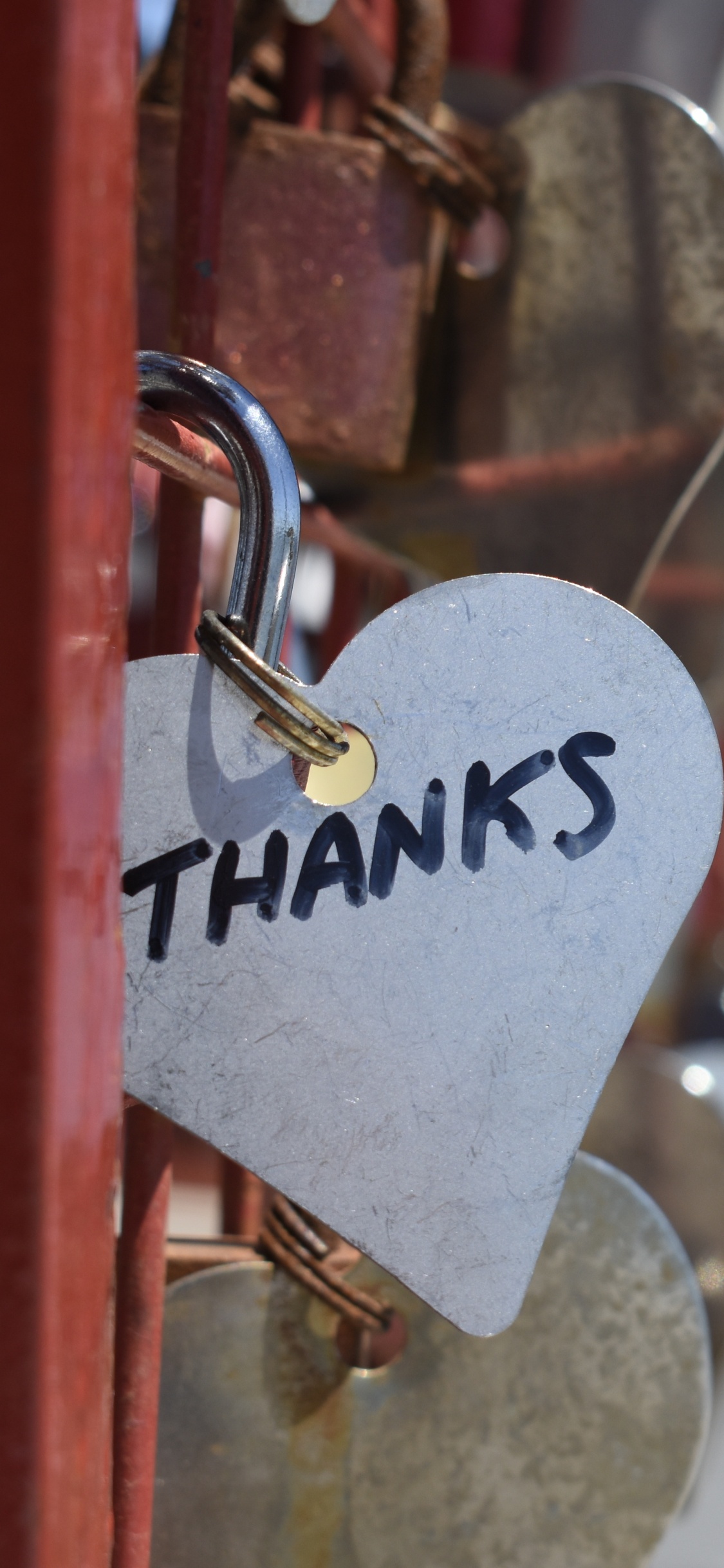 Обои замок навесной, сердце, любовь, вывеска, знак в разрешении 1125x2436