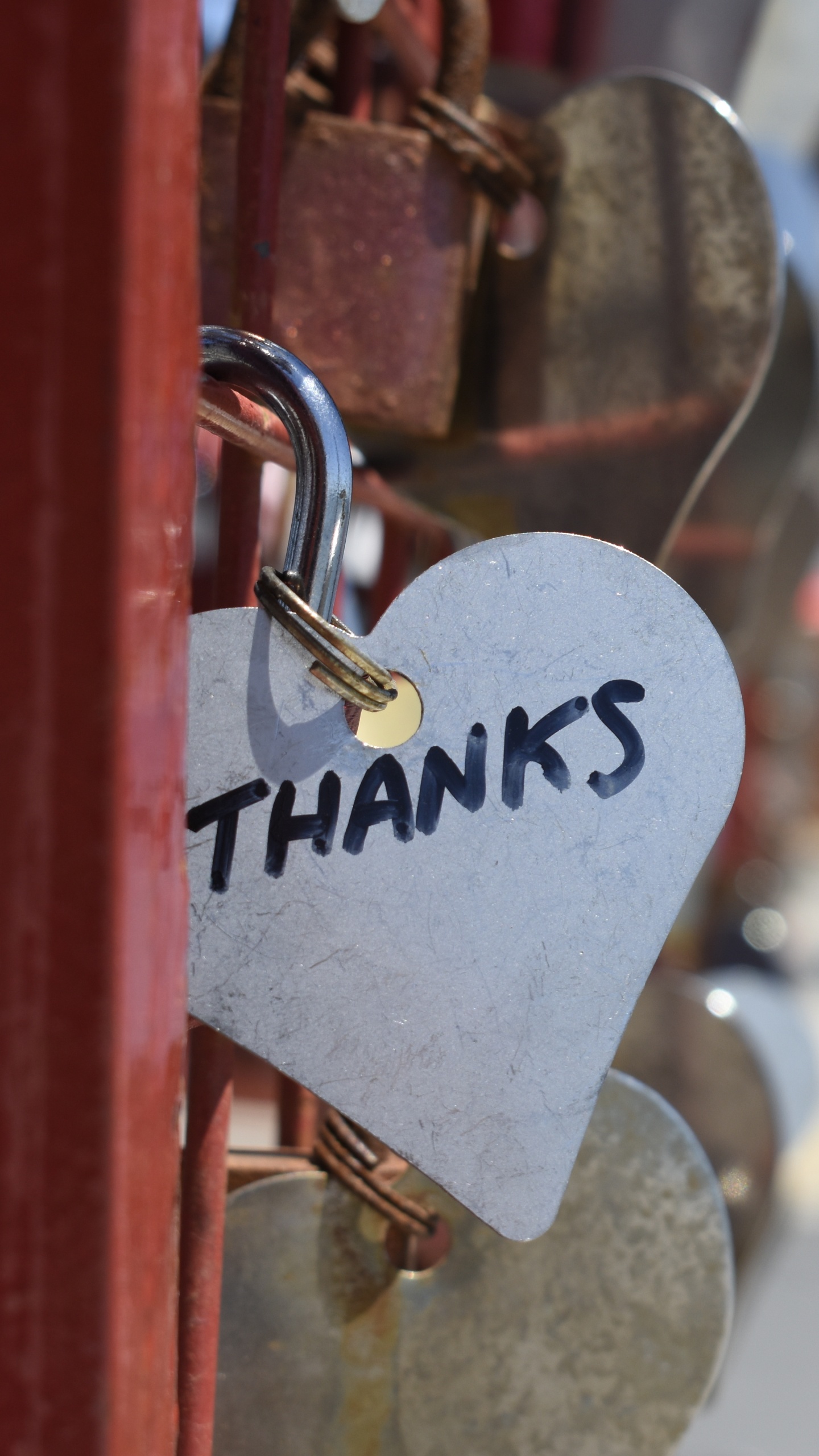 Обои замок навесной, сердце, любовь, вывеска, знак в разрешении 1440x2560