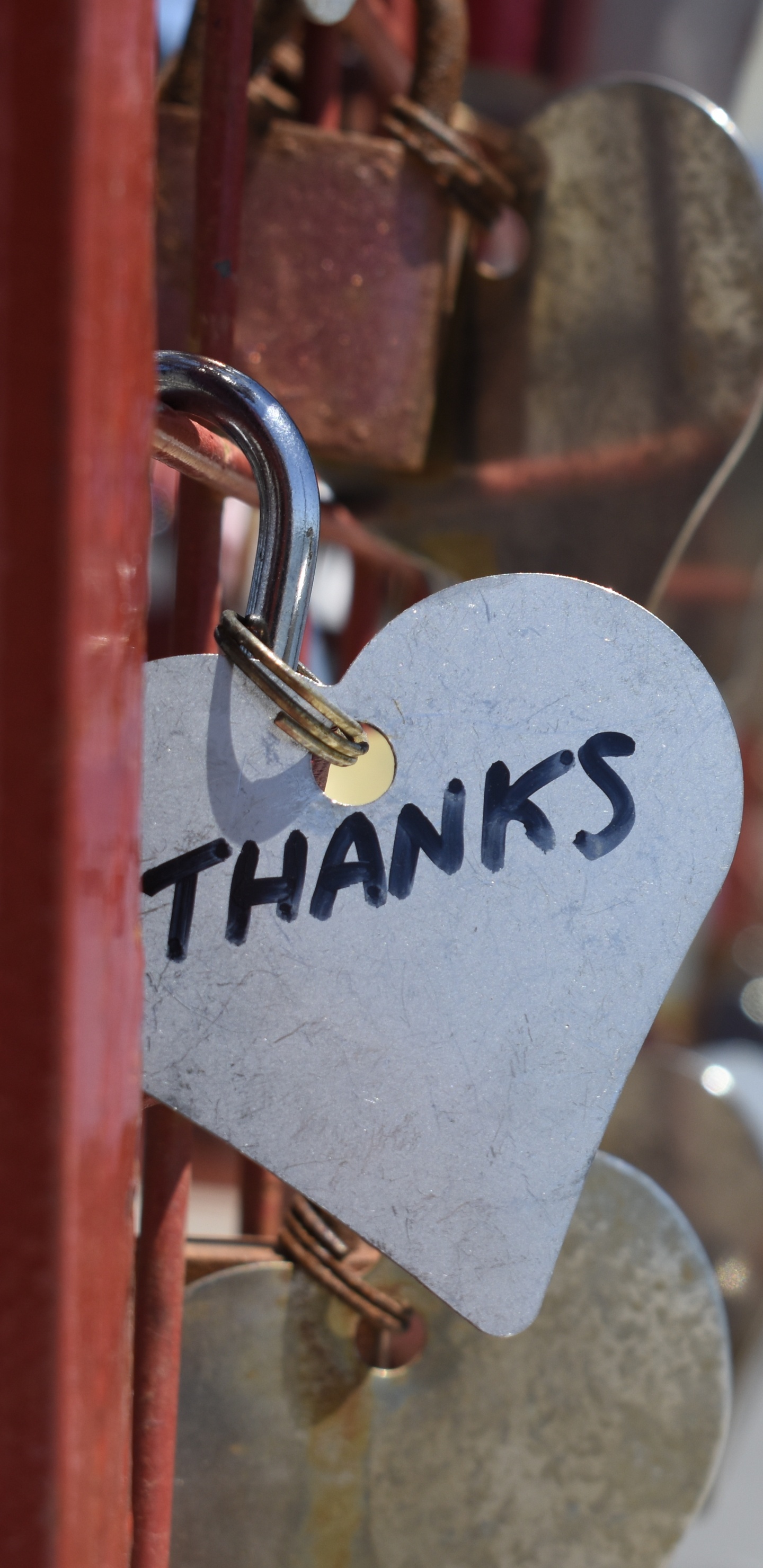 Обои замок навесной, сердце, любовь, вывеска, знак в разрешении 1440x2960