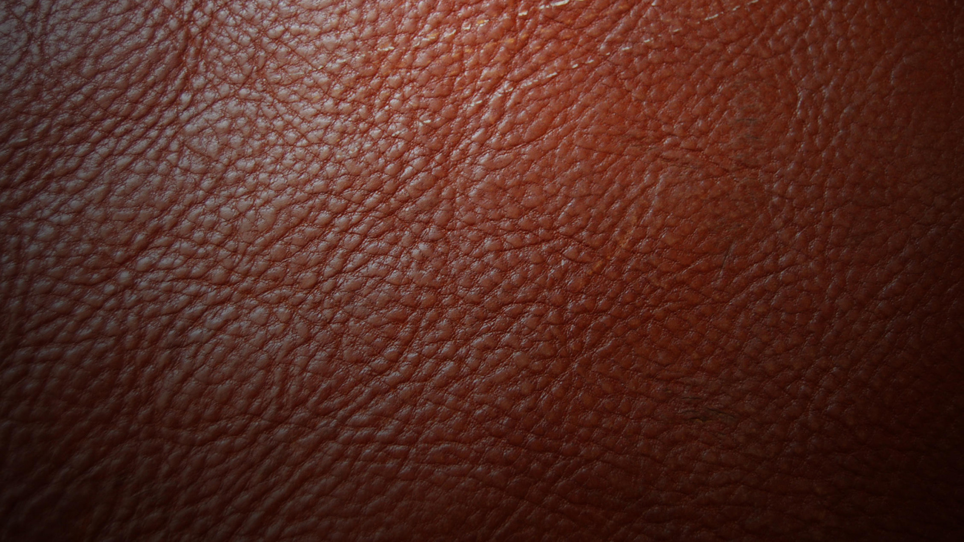 Обои коричневый цвет, кожа, персик, пиксель, крупный план в разрешении 1920x1080