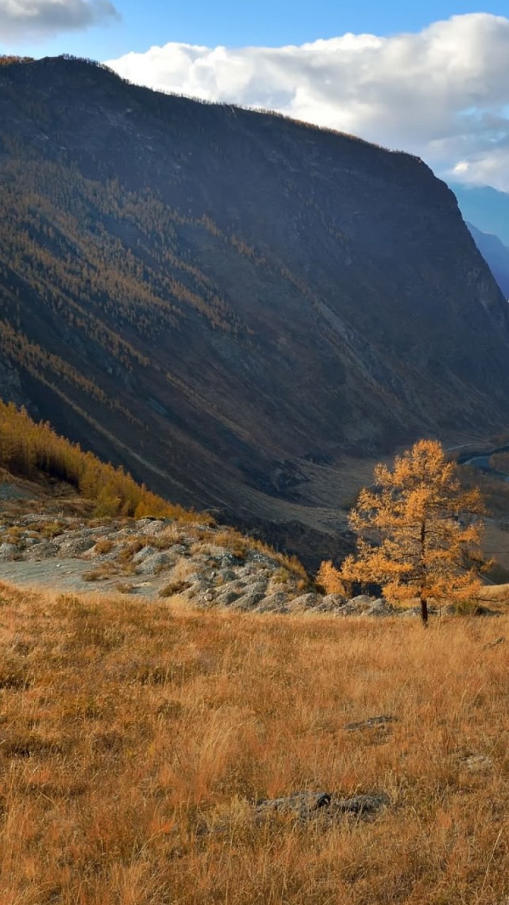 Обои Республика Алтай, горный рельеф, нагорье, гора, дикая местность в разрешении 720x1280