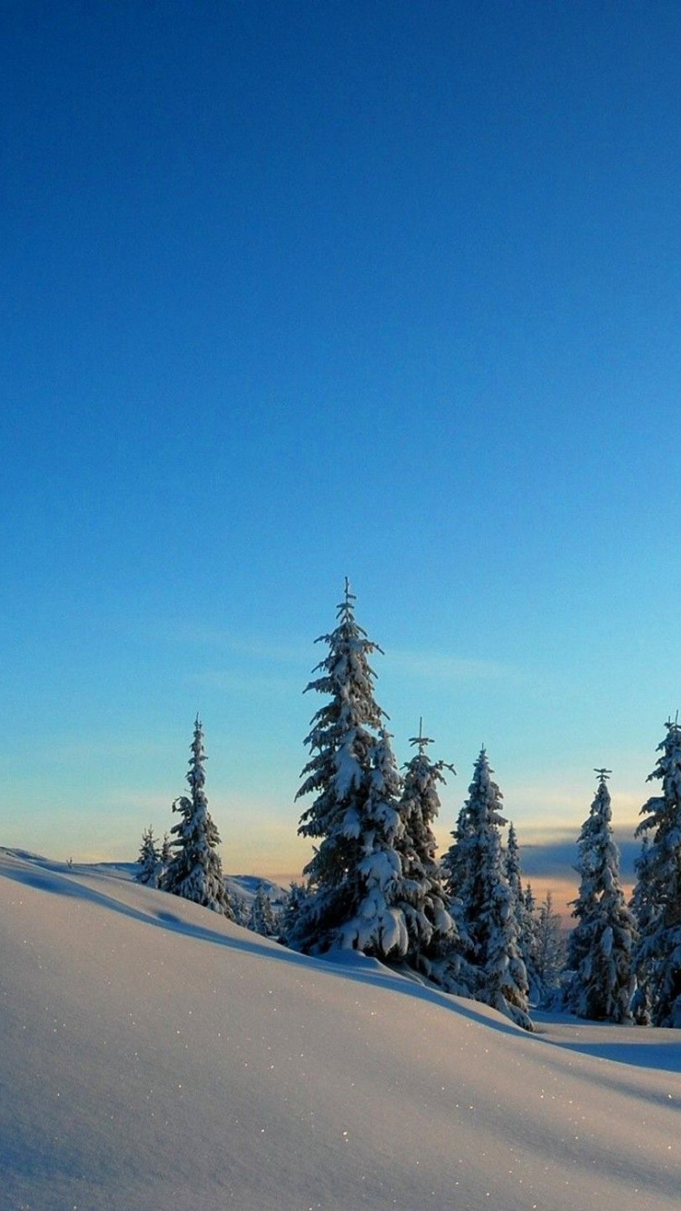 Обои зима, снег, дерево, замораживание, гора в разрешении 750x1334