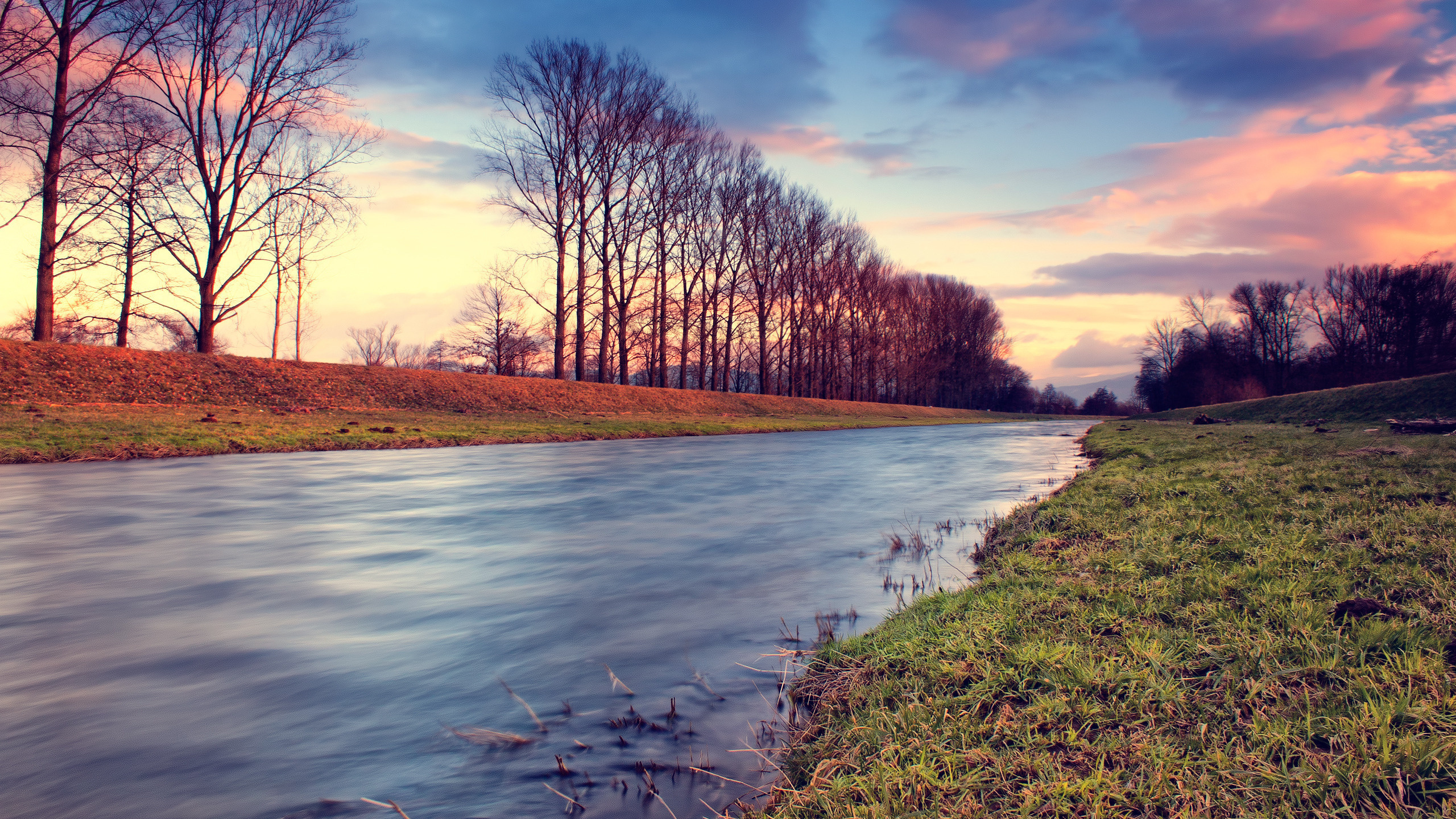 Обои облако, природа, вода, дерево, реки в разрешении 2560x1440