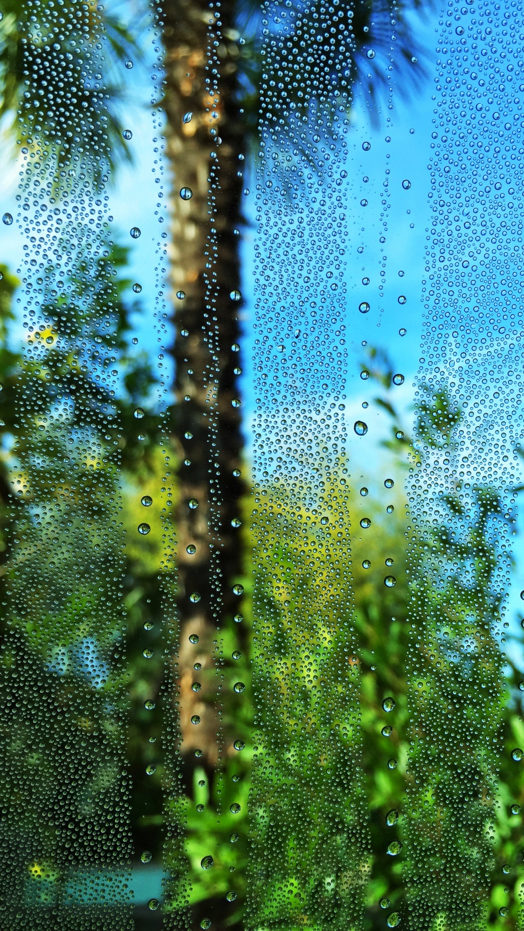 Обои зеленый, вода, растительность, природа, синий в разрешении 1080x1920