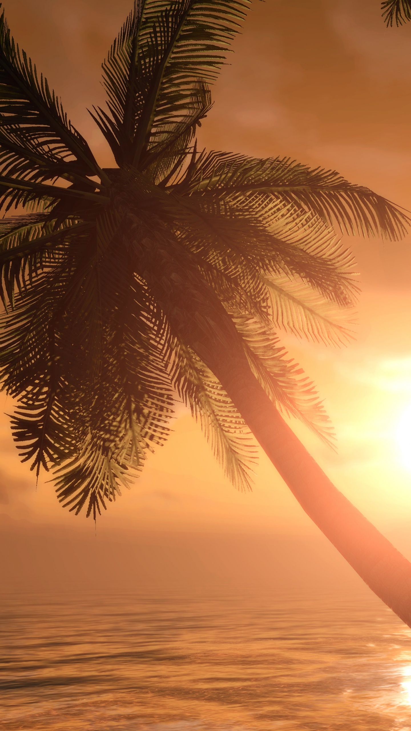 Обои пальмовые рощи, закат, море, тропическая зона, дерево в разрешении 1440x2560