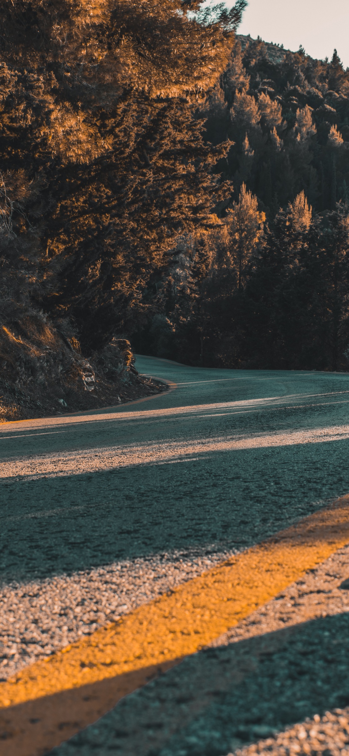 Обои берег, асфальт, дикая местность, море, рок в разрешении 1125x2436