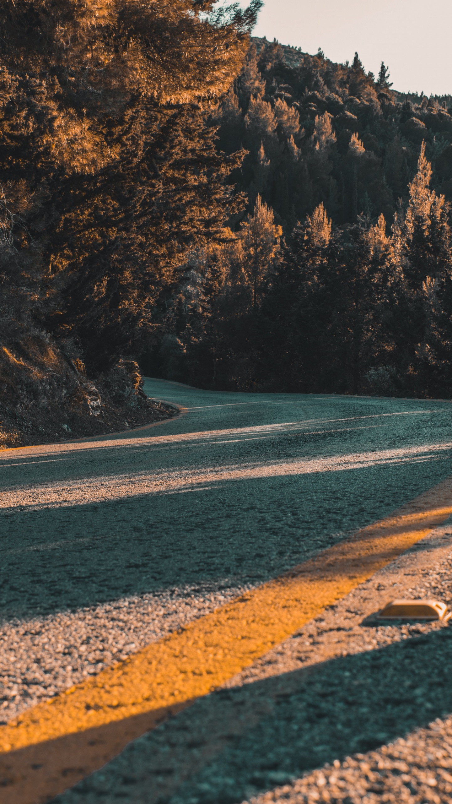 Обои берег, асфальт, дикая местность, море, рок в разрешении 1440x2560