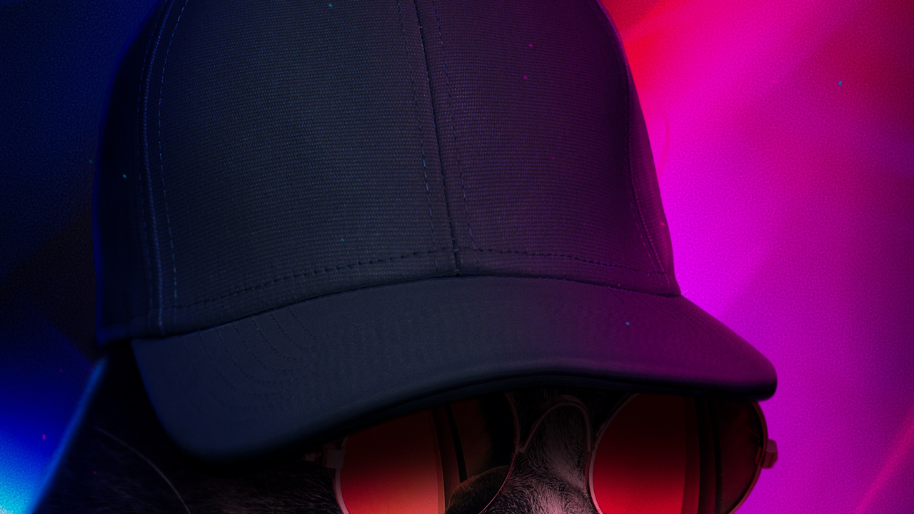 Обои свет, солнечные очки, очки защитные, голова, шляпа в разрешении 1280x720