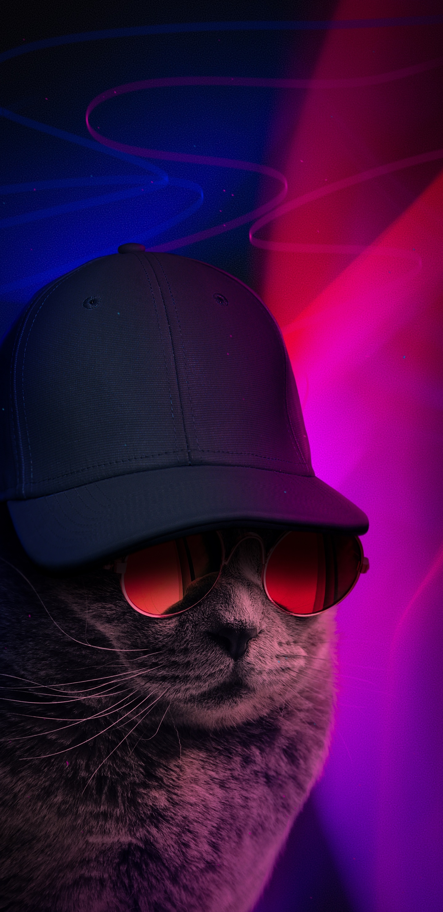 Обои свет, солнечные очки, очки защитные, голова, шляпа в разрешении 1440x2960