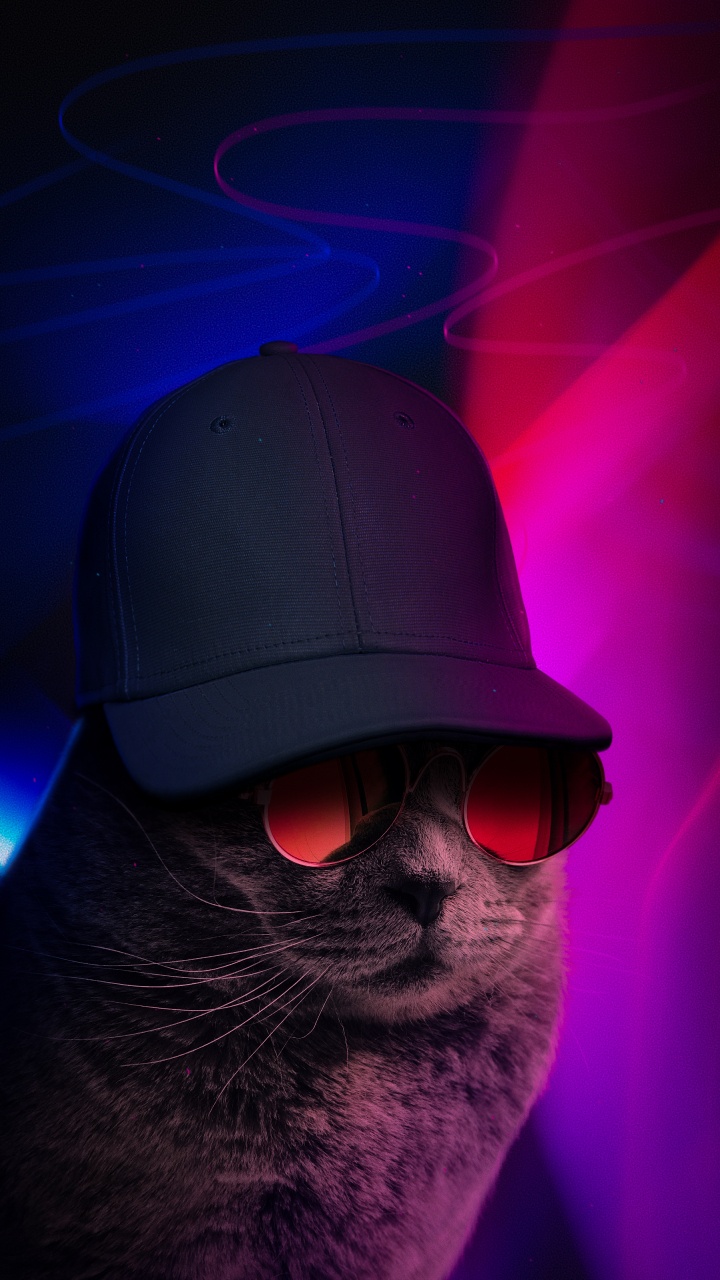 Обои свет, солнечные очки, очки защитные, голова, шляпа в разрешении 720x1280