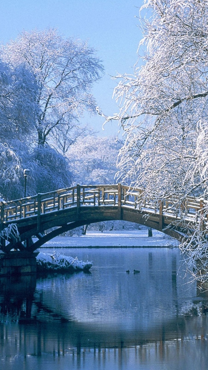 Обои зима, вода, снег, природа, отражение в разрешении 720x1280