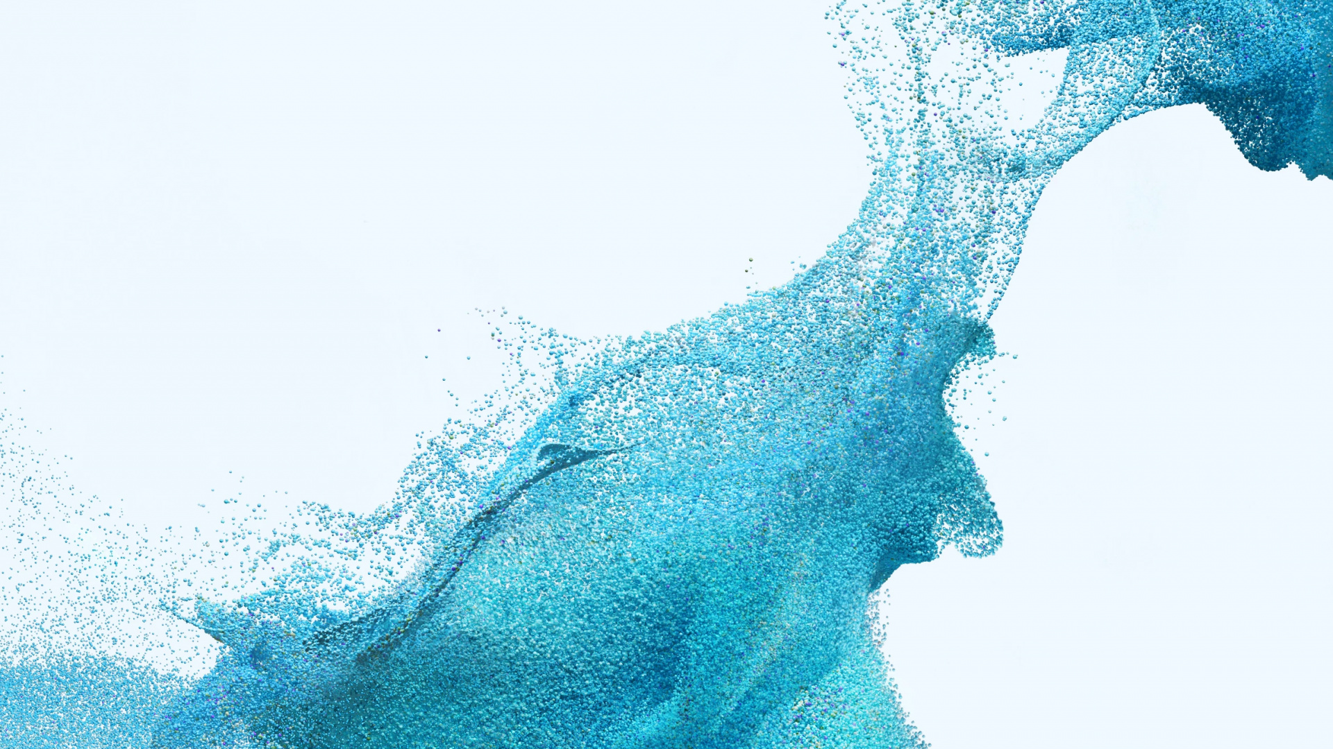 Обои фантомный белый, фантомный черный, смартфон, андроид, растение в разрешении 1920x1080