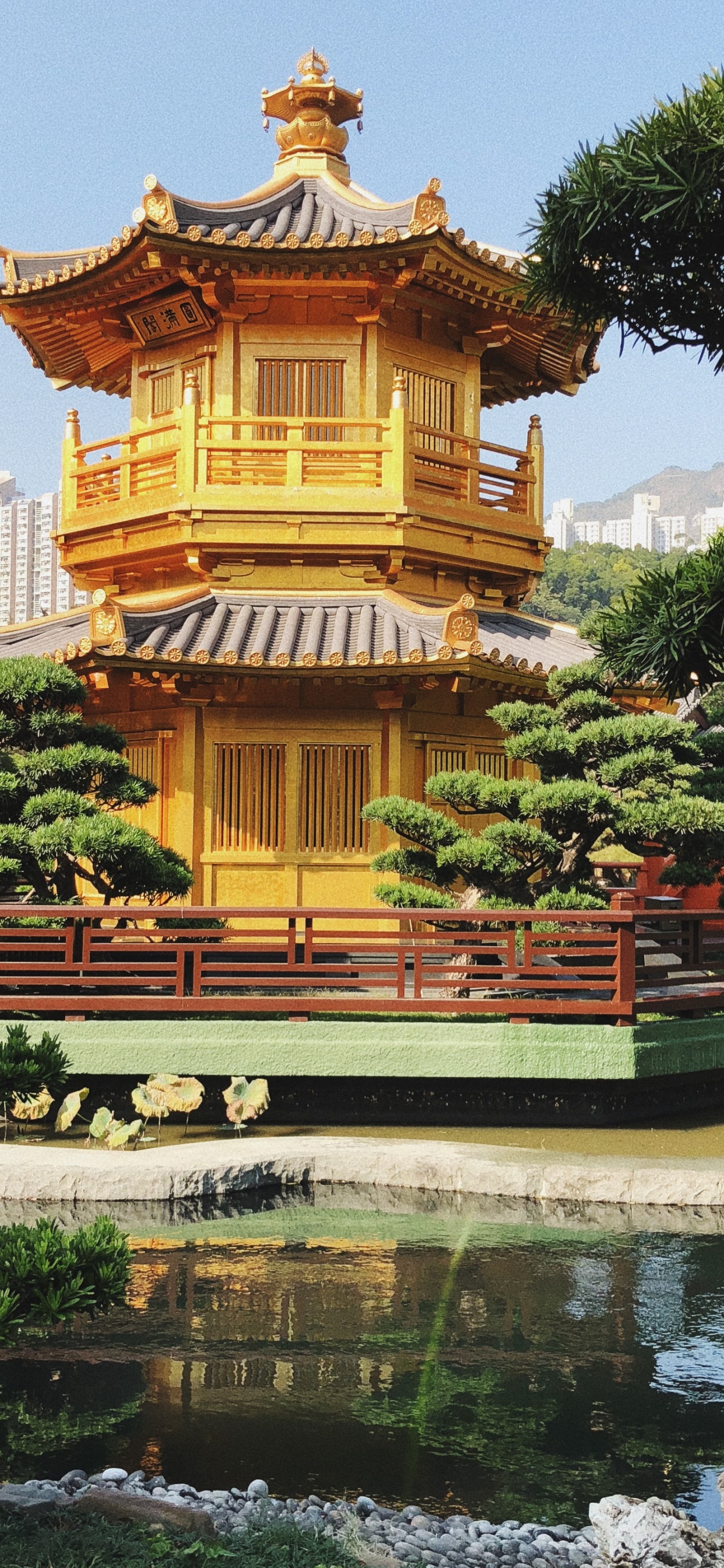 Обои Гонконг, Сад Нан-Лиан, туризм, китайская архитектура, водоем в разрешении 1242x2688