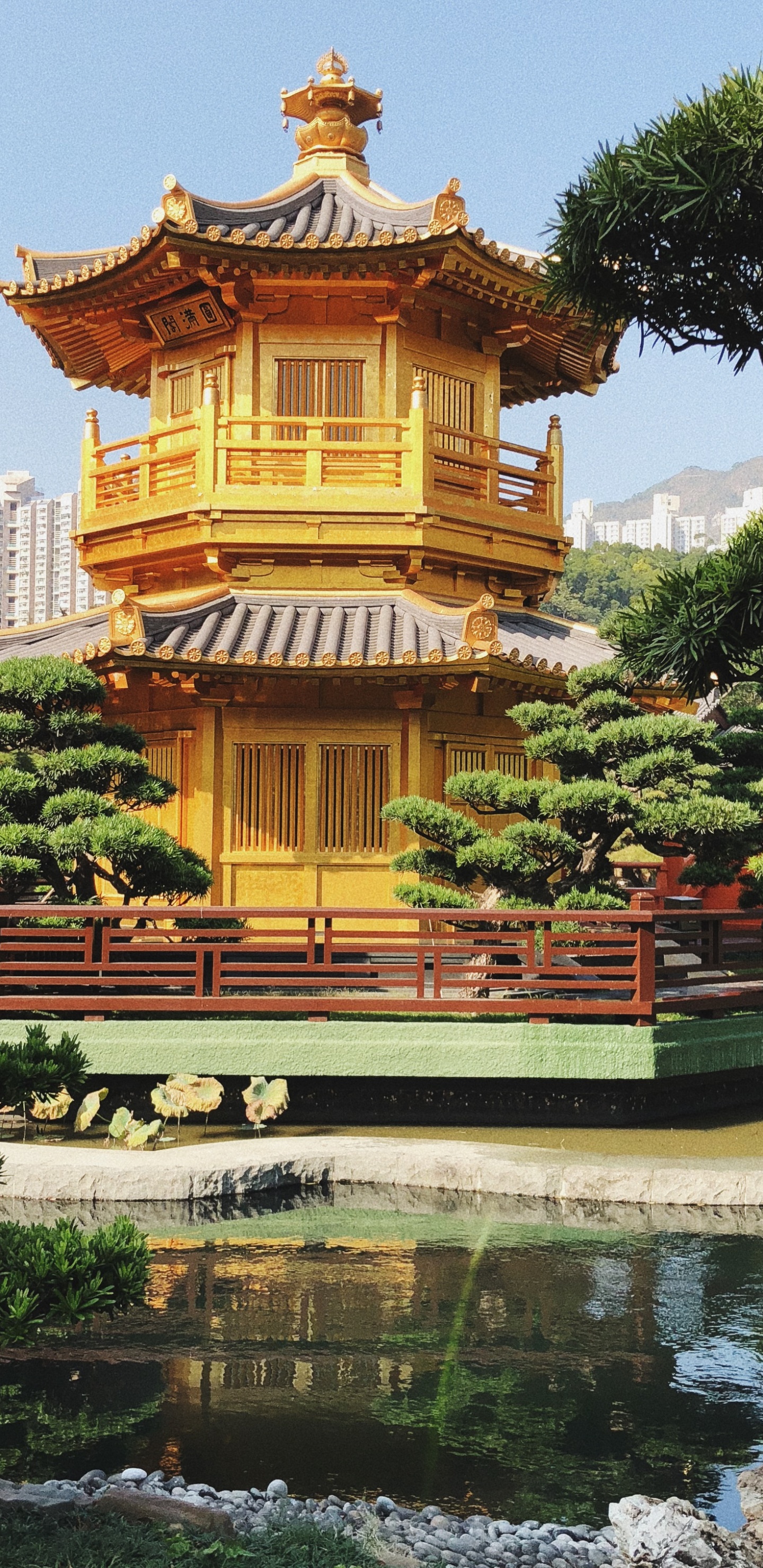 Обои Гонконг, Сад Нан-Лиан, туризм, китайская архитектура, водоем в разрешении 1440x2960