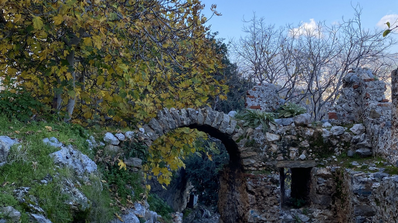 Обои лист, наука, растение, природный ландшафт, дерево в разрешении 1366x768