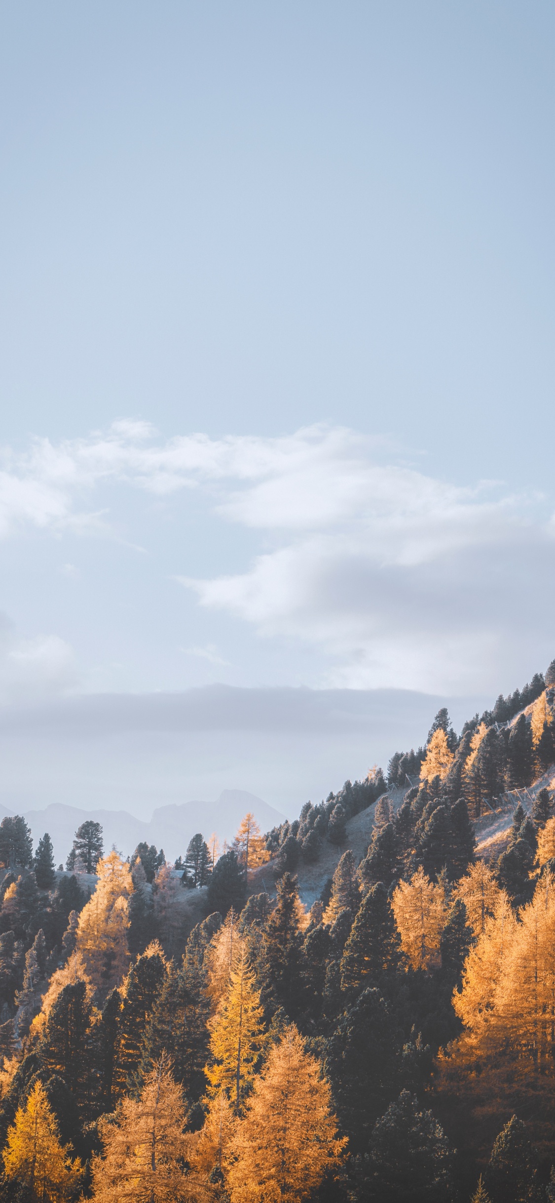 Обои лист, облако, дерево, дикая местность, гора в разрешении 1125x2436