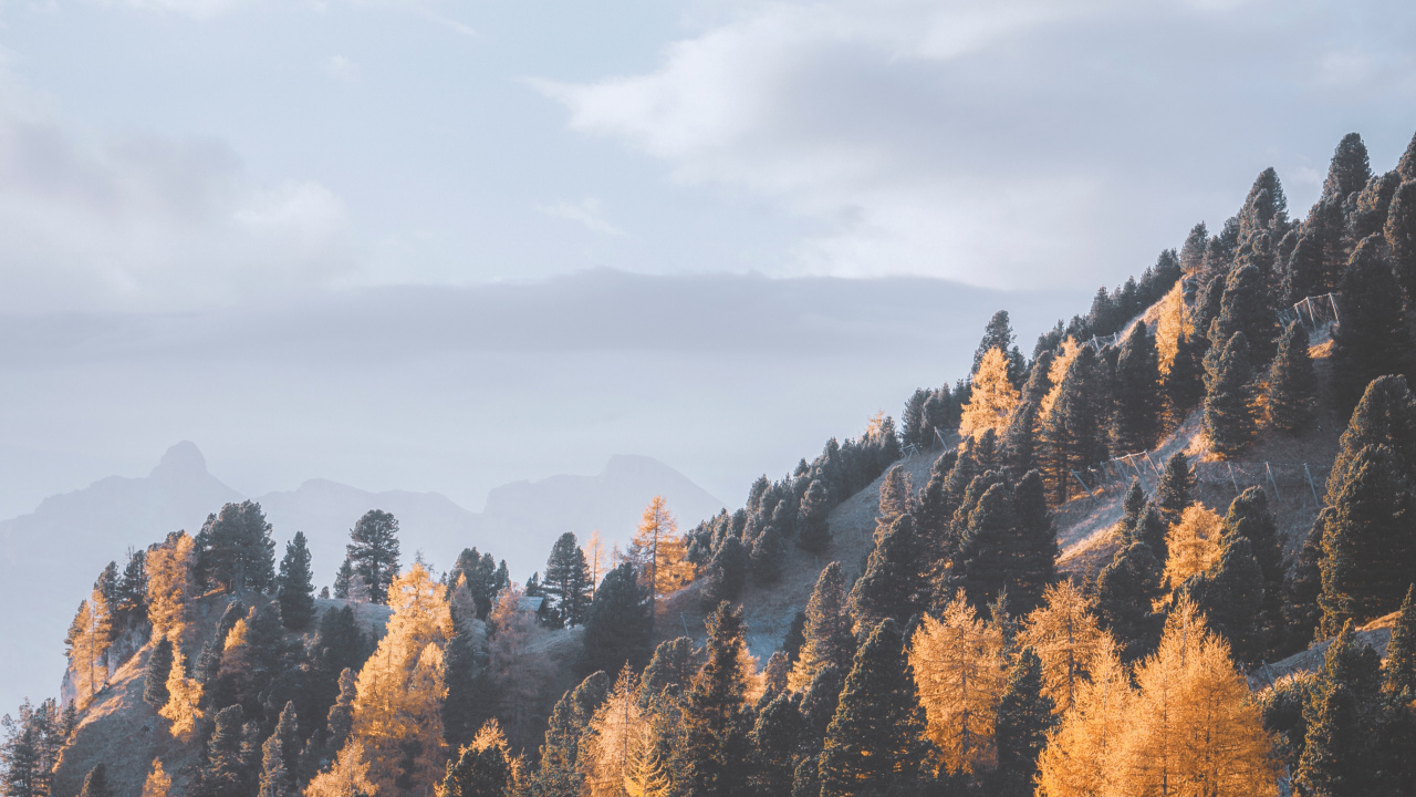 Обои лист, облако, дерево, дикая местность, гора в разрешении 1280x720