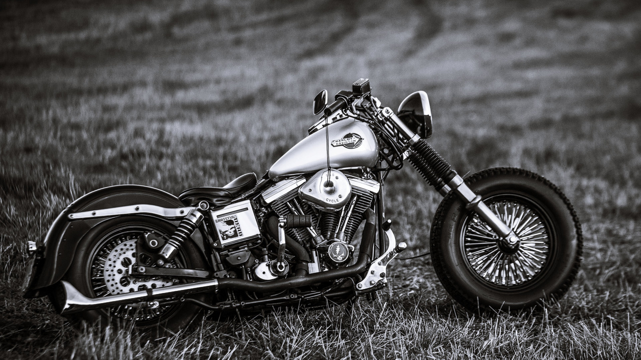 Обои мотоцикл, Чоппер, harley davidson sportster, черный и белый, постер в разрешении 1280x720