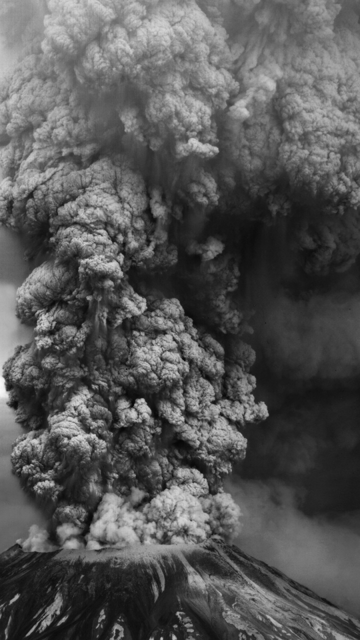 Обои Извержение 1980 года горы Сент-Хеленс, вулкан, типы вулканических извержений, облако, дерево в разрешении 720x1280