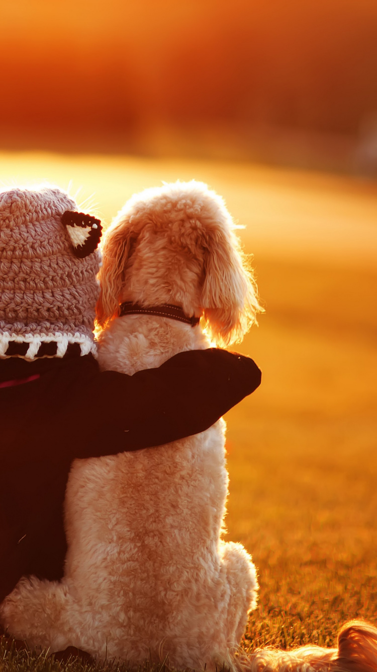 Обои дружба, любовь, солнечный свет, день дружбы, морда в разрешении 750x1334