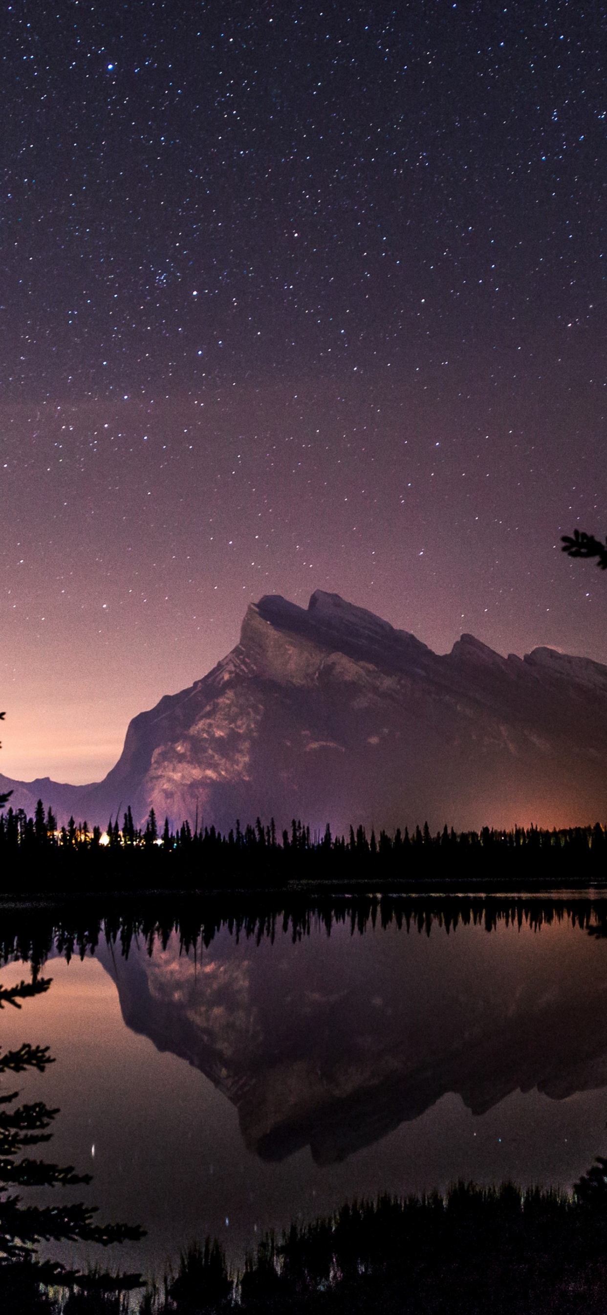 Обои планшет, вода, растение, атмосфера, гора в разрешении 1242x2688