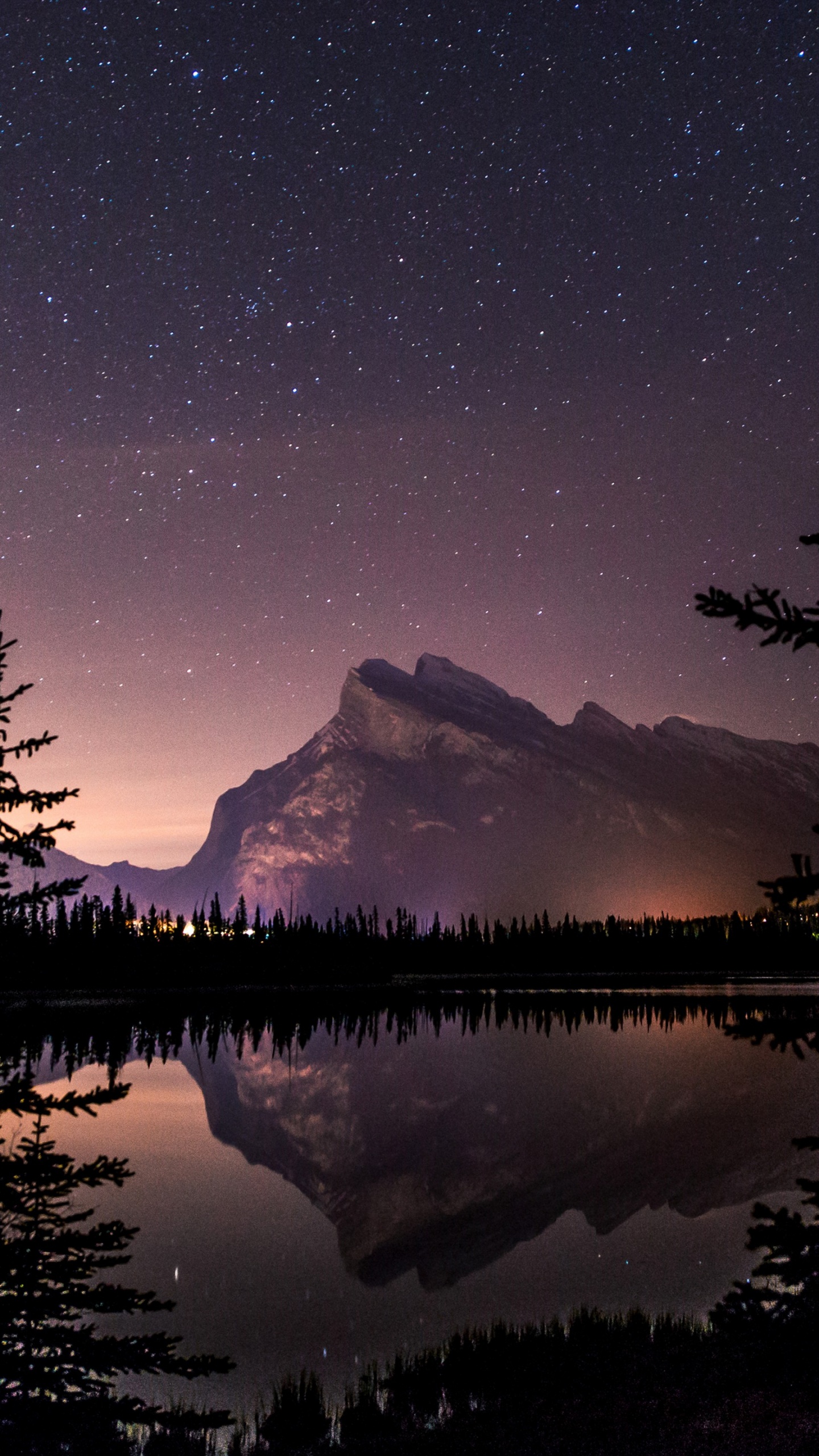 Обои планшет, вода, растение, атмосфера, гора в разрешении 1440x2560