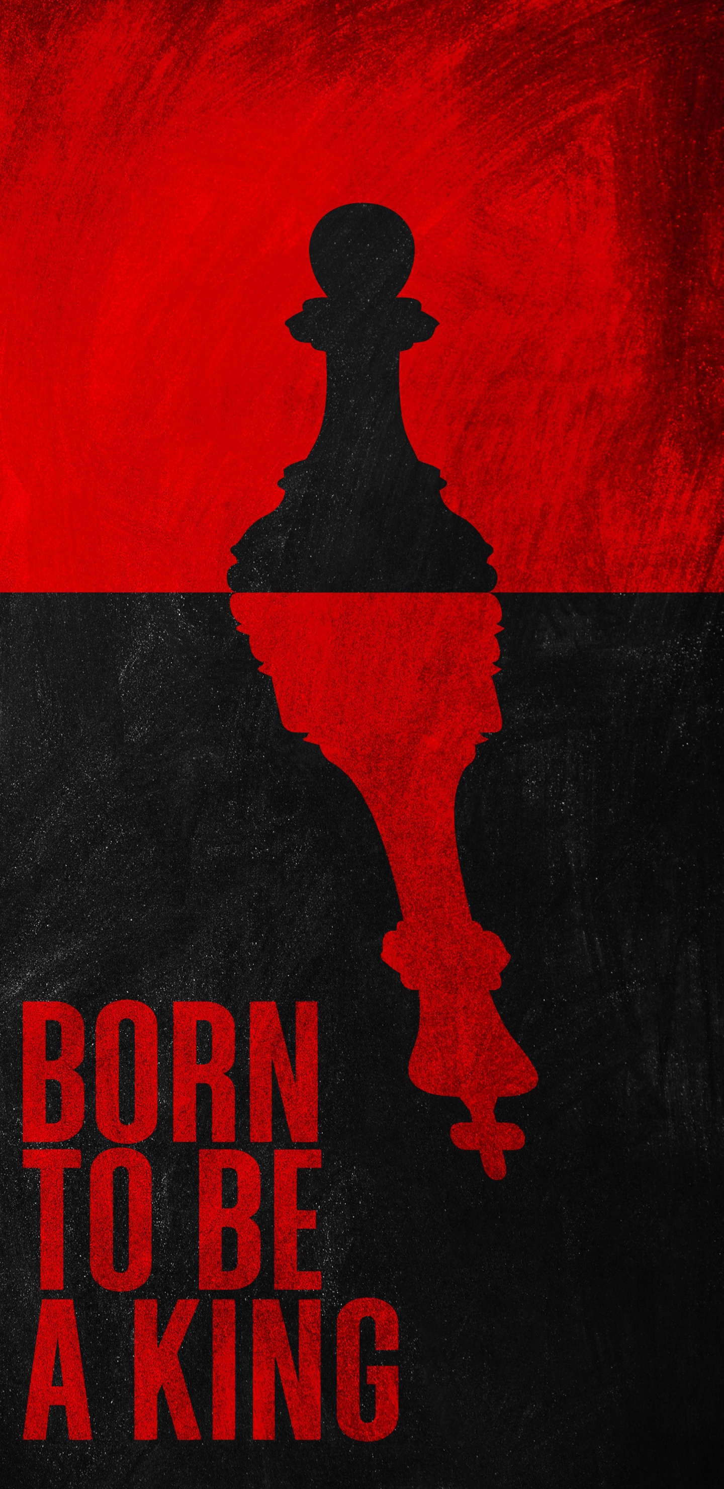 Обои постер, визуальное искусство, графический дизайн, биология, черный в разрешении 1440x2960