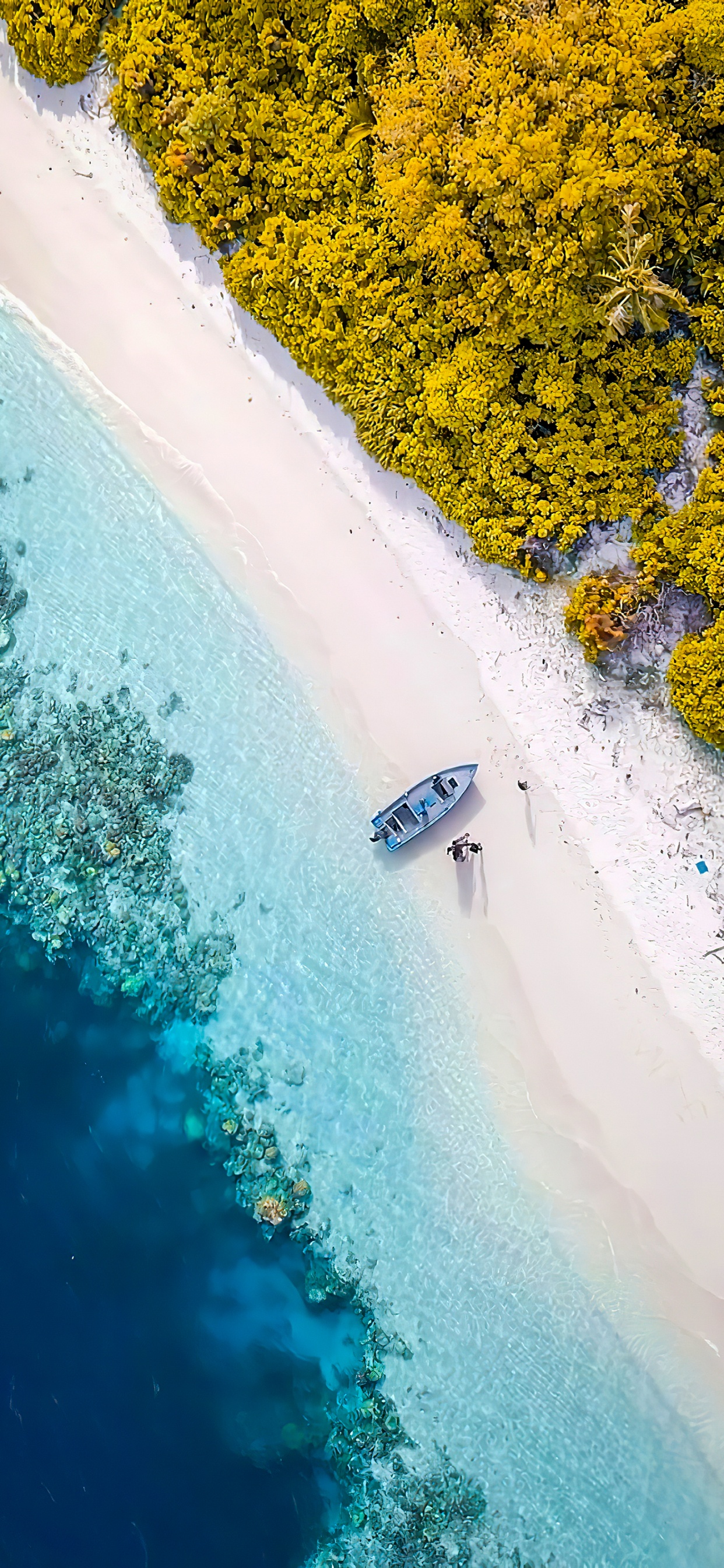 Обои отражение, гидроресурсы, плавательный бассейн, математика, вода в разрешении 1242x2688