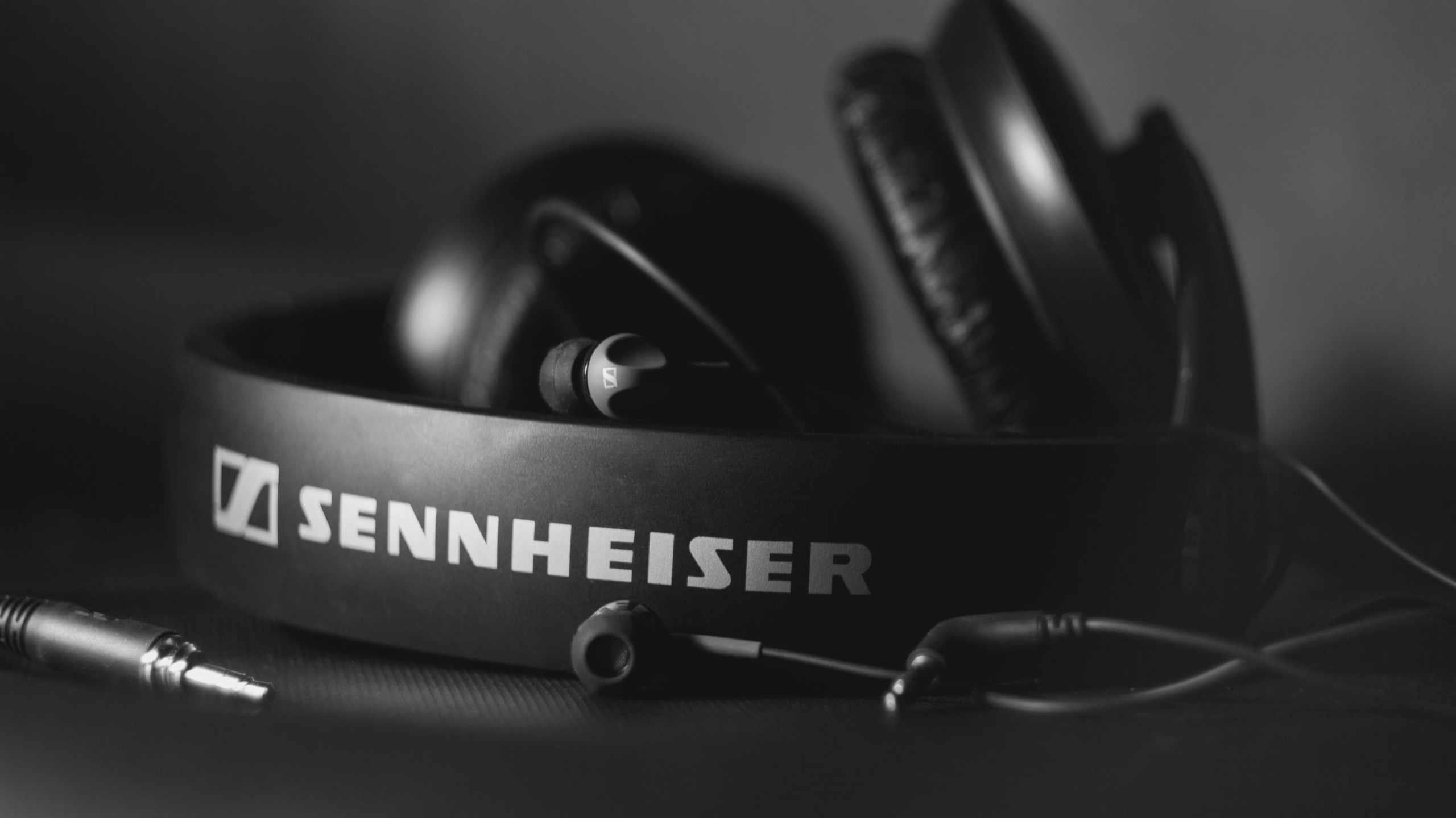 Обои наушники, черный и белый, Sennheiser, звуковое оборудование, технологии в разрешении 2560x1440