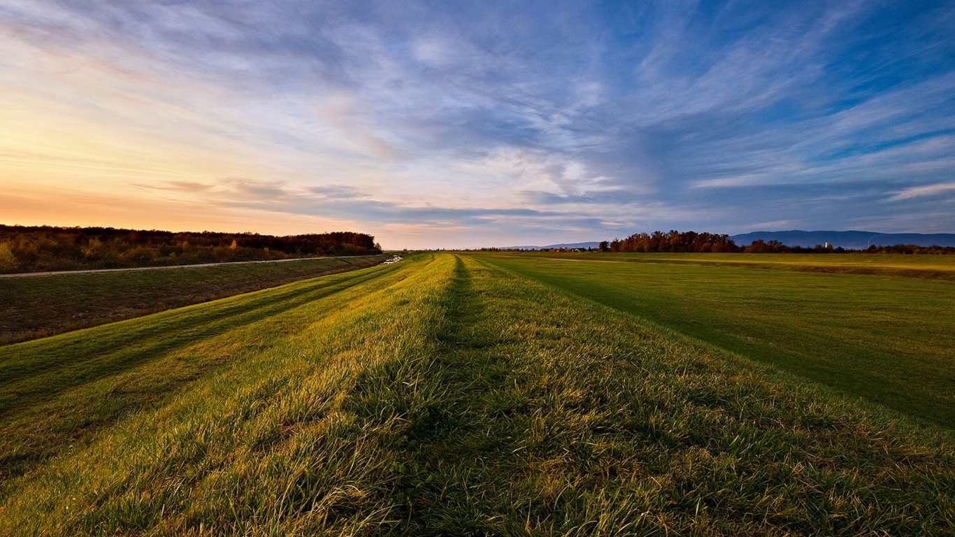 Обои сенокосное угодье, облако, поле, горизонт, равнина в разрешении 1366x768