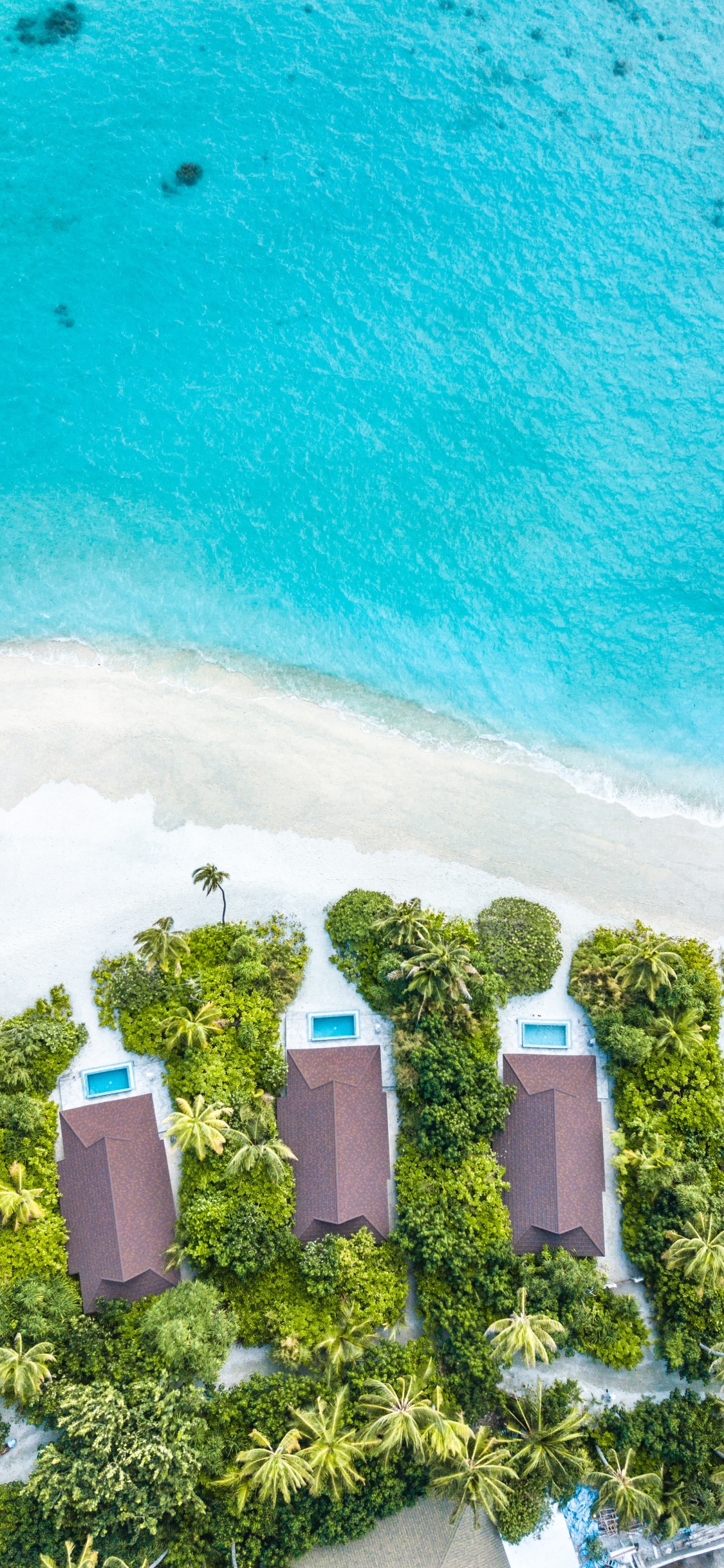 Обои вода, зеленый, бирюза, лето, дерево в разрешении 1125x2436