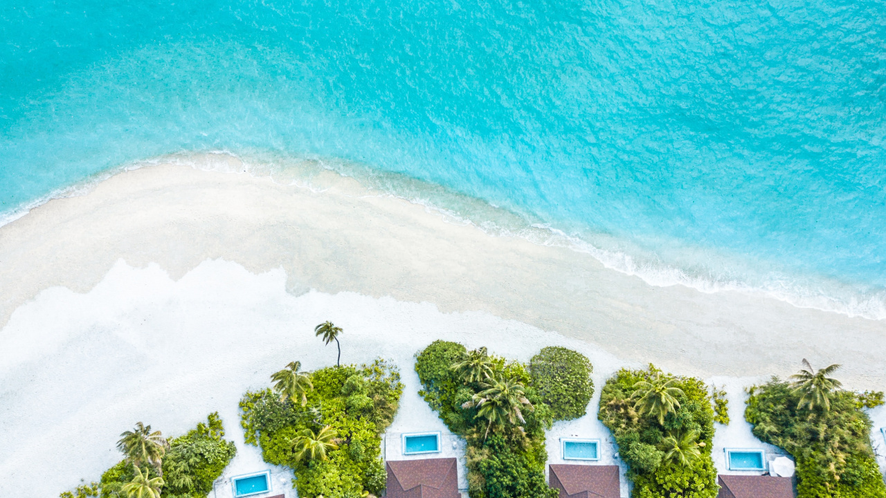 Обои вода, зеленый, бирюза, лето, дерево в разрешении 1280x720