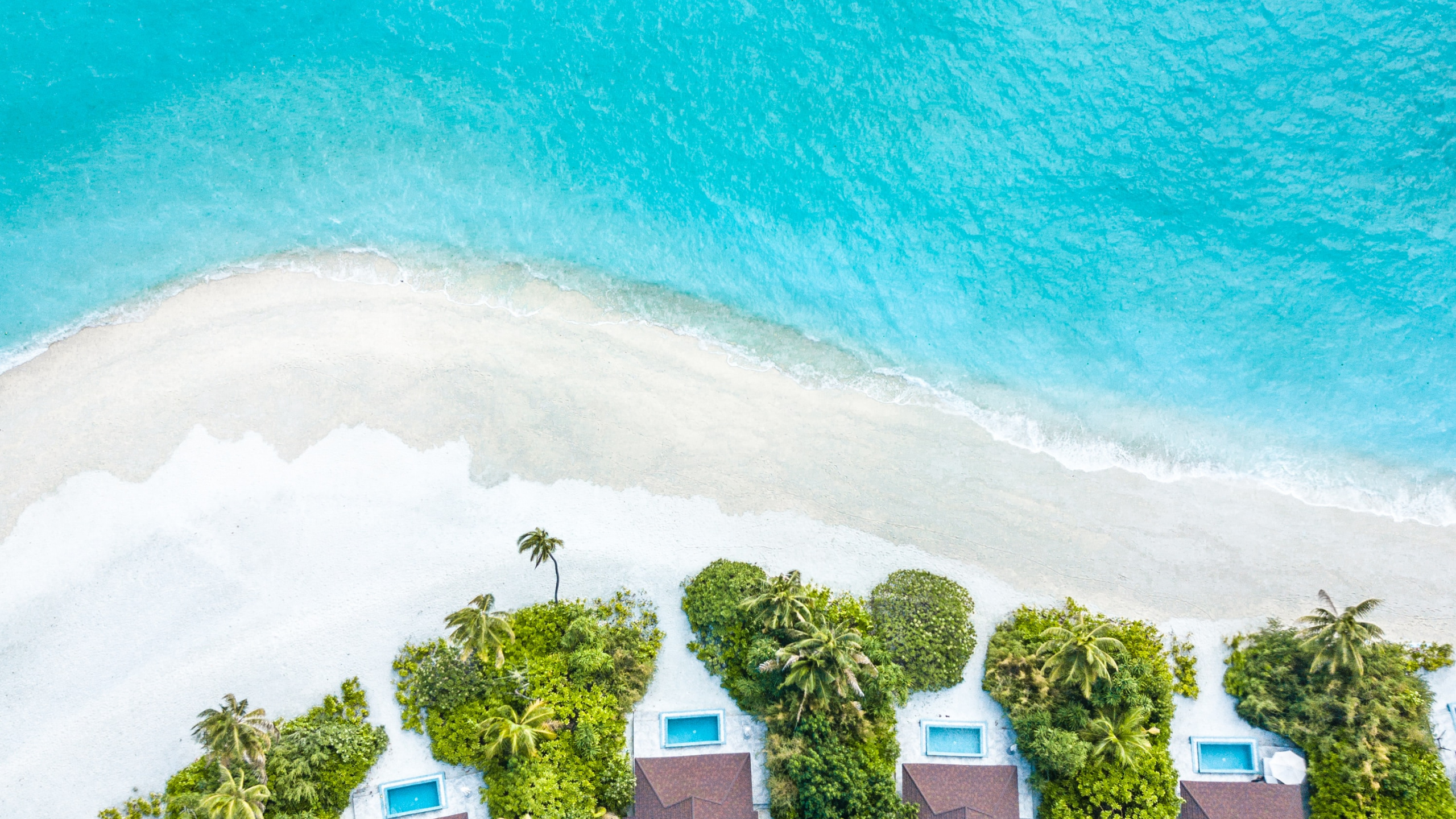 Обои вода, зеленый, бирюза, лето, дерево в разрешении 2560x1440