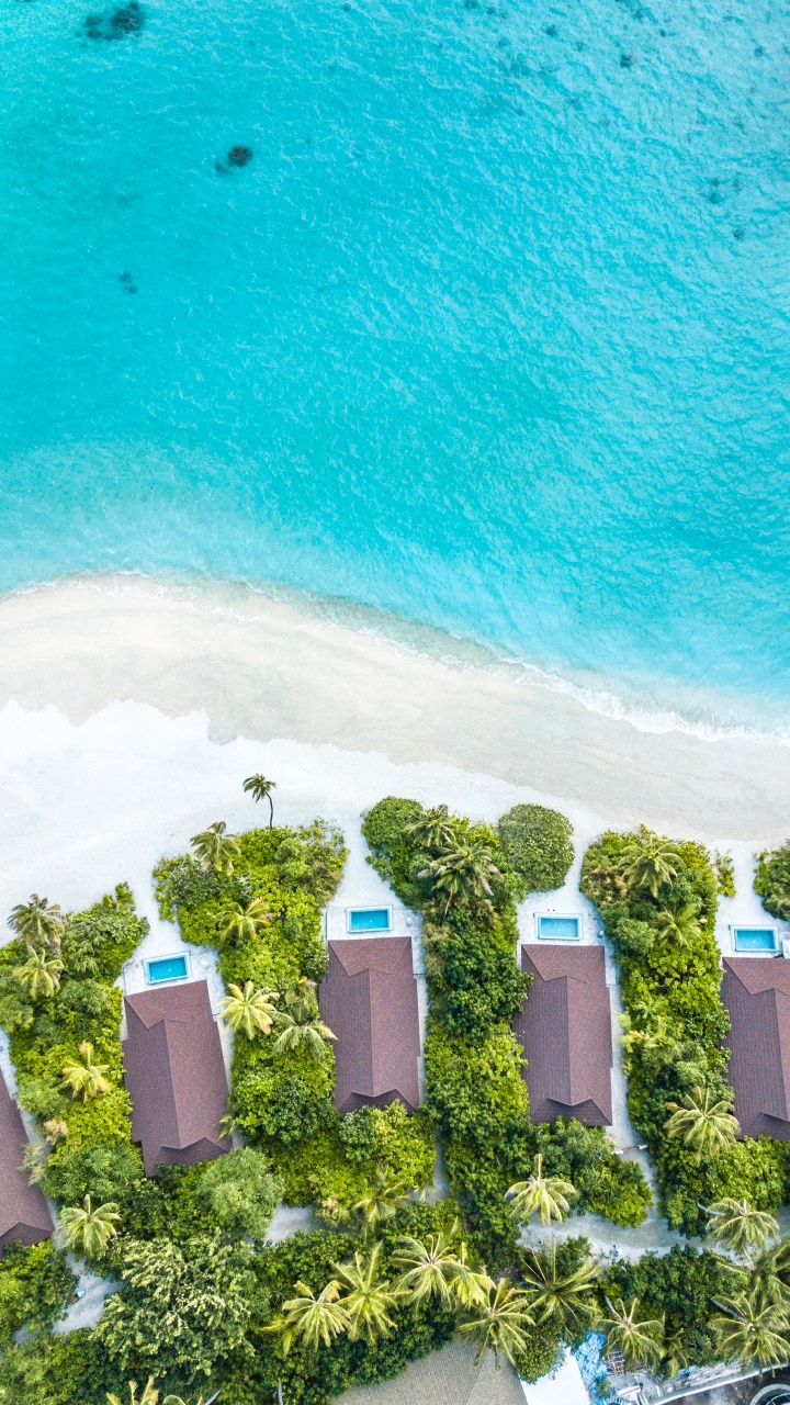 Обои вода, зеленый, бирюза, лето, дерево в разрешении 720x1280